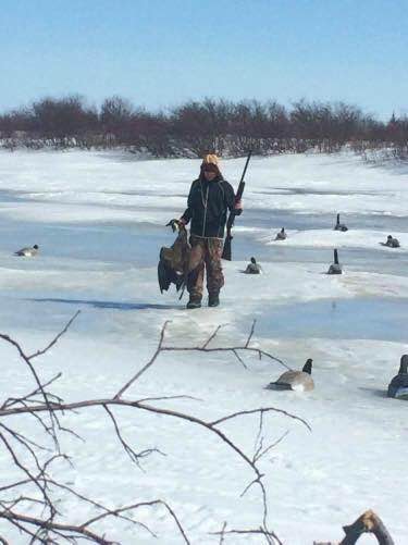 Spring Goose Hunt